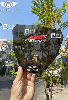 Mão Chắn Gió Trong Suốt Xe Winner X, Winner X V1 MS4408 