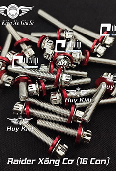 Bộ Ốc Lốc Máy Salaya Inox 304 + Lông Đền Nhôm Đỏ Cho Raider RC Xăng Cơ (16 Con) MS5565