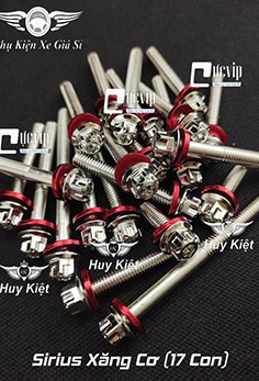 Bộ Ốc Lốc Máy Salaya Inox 304 + Lông Đền Nhôm Đỏ Cho Sirius RC Xăng Cơ (17 Con) MS5562