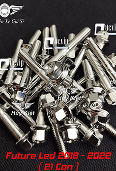 Bộ Ốc Lốc Máy Salaya PHAY THÁI Inox 304 Cho Future Led (21 Con) MS5209
