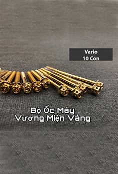 Bộ Ốc Máy Vương Miện Vàng Cho Xe Vario MS2164