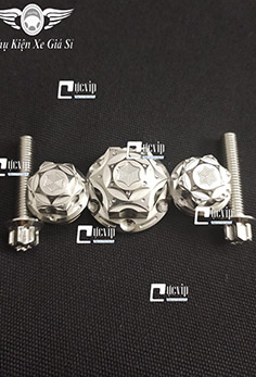 Combo 5 Ốc Chảng Ba Raider Fi, Satria Kiểu Salay Inox 304 MS4736