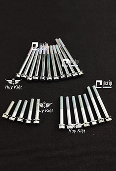 Bộ Ốc Lốc Máy Dream, Wave Hàng Đặc Biệt Cao Cấp MS4834