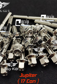 Bộ Ốc Lốc Máy Salaya PHAY THÁI Inox 304 Cho Jupiter (17 Con) MS5211