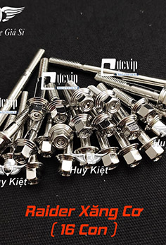 Bộ Ốc Lốc Máy Salaya PHAY THÁI Inox 304 Cho Raider Xăng Cơ (16 Con) MS5213