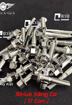 Bộ Ốc Lốc Máy Salaya PHAY THÁI Inox 304 Cho Sirius Xăng Cơ (17 Con) MS5216