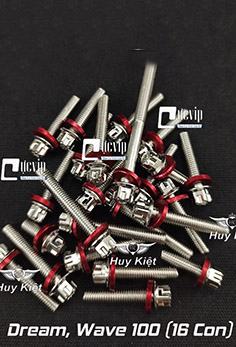 Bộ Ốc Lốc Máy Salaya Inox 304 + Lông Đền Nhôm Đỏ Cho Dream, Wave 100 (16 Con) MS5555