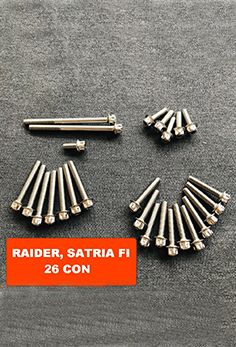 Bộ Ốc Máy Salaya Dành Cho Raider, Satria 150 MS1888