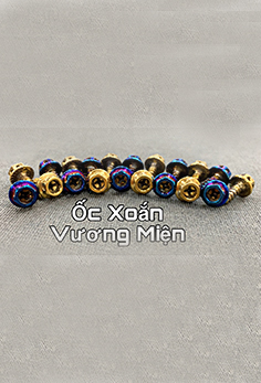 Combo 4 Ốc Xoắn Vương Miện 5Ly Xi Titan, Vàng MS2766