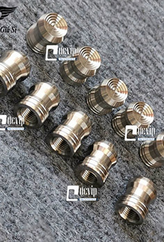 Bộ 2 Nắp Chụp Van Vòi Salaya Chỉ Âm Inox 304 Gắn Mọi Loại Xe MS5246