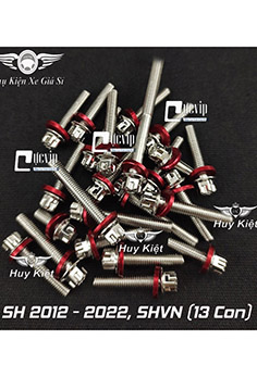 Bộ Ốc Lốc Máy Salaya Inox 304 + Lông Đền Nhôm Đỏ Cho SH 2012 - 2022, SHVN (13 Con) MS5564