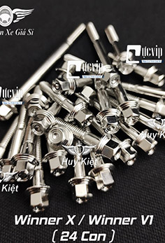 Bộ Ốc Lốc Máy Salaya PHAY THÁI Inox 304 Cho Winner X, Winner V1 (24 Con) MS5223