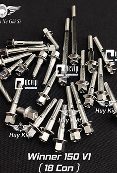 Bộ Ốc Lốc Máy Salaya PHAY THÁI Inox 304 Cho Winner V1 (18 Con) MS5222