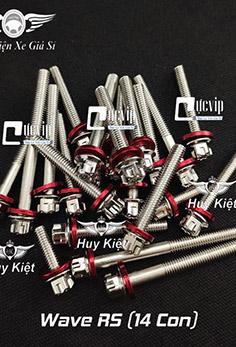Bộ Ốc Lốc Máy Salaya Inox 304 + Lông Đền Nhôm Đỏ Cho Wave RS (14 Con) MS5557