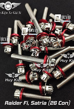 Bộ Ốc Lốc Máy Salaya Inox 304 + Lông Đền Nhôm Đỏ Cho Raider Fi, Satria (26 Con) MS5566
