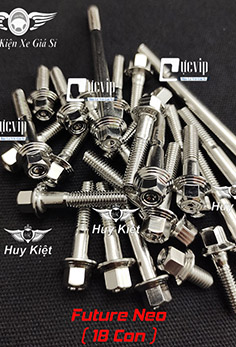 Bộ Ốc Lốc Máy Salaya PHAY THÁI Inox 304 Cho Future Neo (18 Con) MS5210