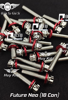 Bộ Ốc Lốc Máy Salaya Inox 304 + Lông Đền Nhôm Đỏ Cho Future Neo (18 Con) MS5568